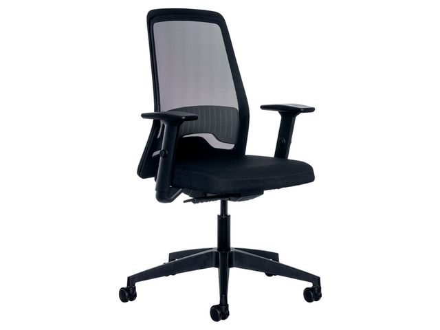 Kontorstol INTERSTUHL 172E4 mesh sort