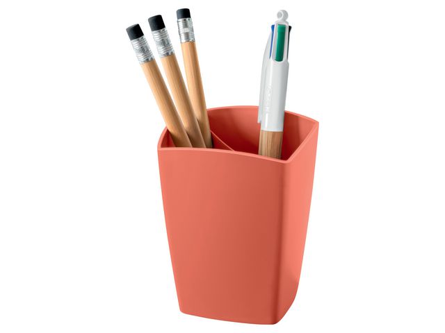 Penneholder CEP TerraNova