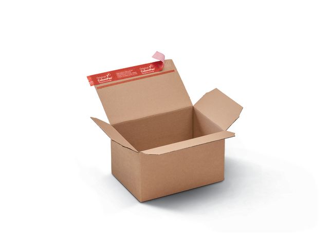 Posteske CP automat 230x160x80mm selvkl