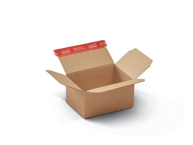 Posteske CP automat 213x153x109mm selvkl