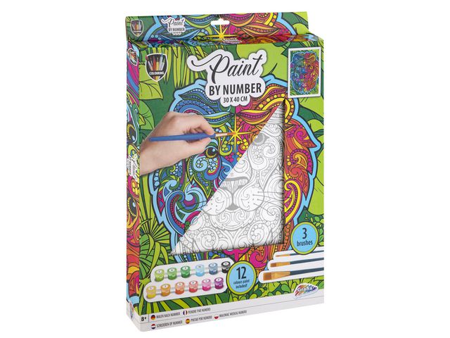 Paint By Number Lion Canvas - 30x40cm