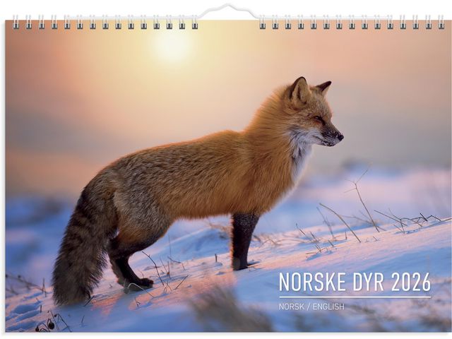 Veggkalender GRIEG 2026 Norske dyr