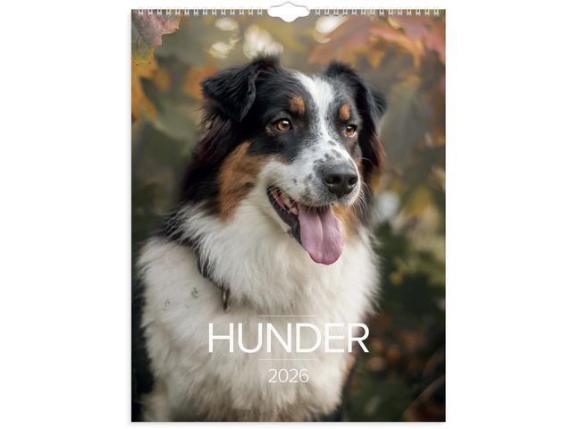 Veggkalender GRIEG 2026 Hunder