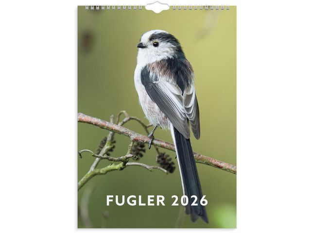 Veggkalender GRIEG 2026 Fugler
