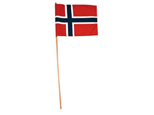 Flagg 17. mai 31x43cm